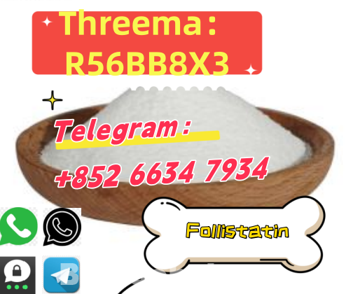+852 66347934 Follistatin low rice and high quality